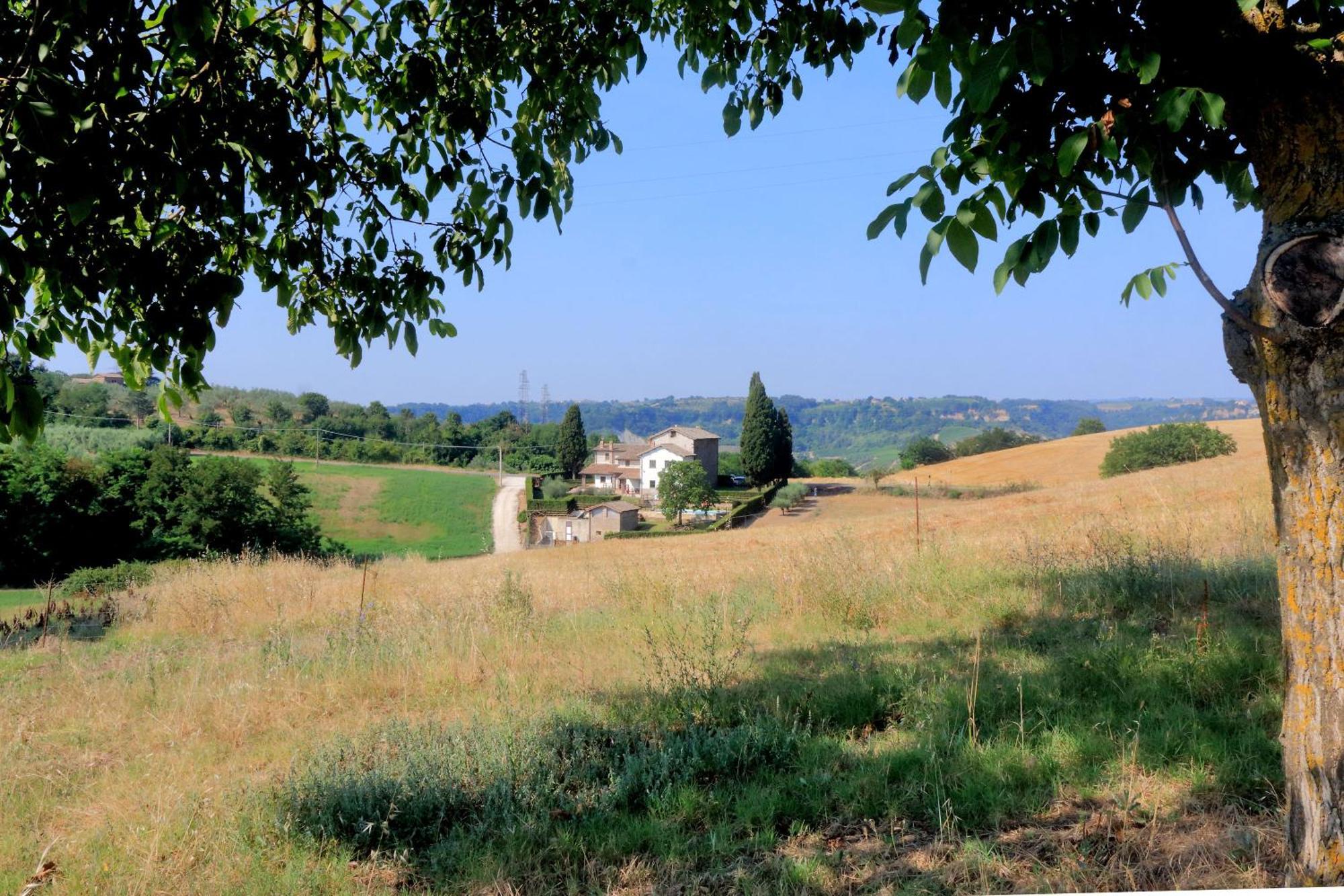 Orvieto Country House Castiglione In Teverina Exterior foto